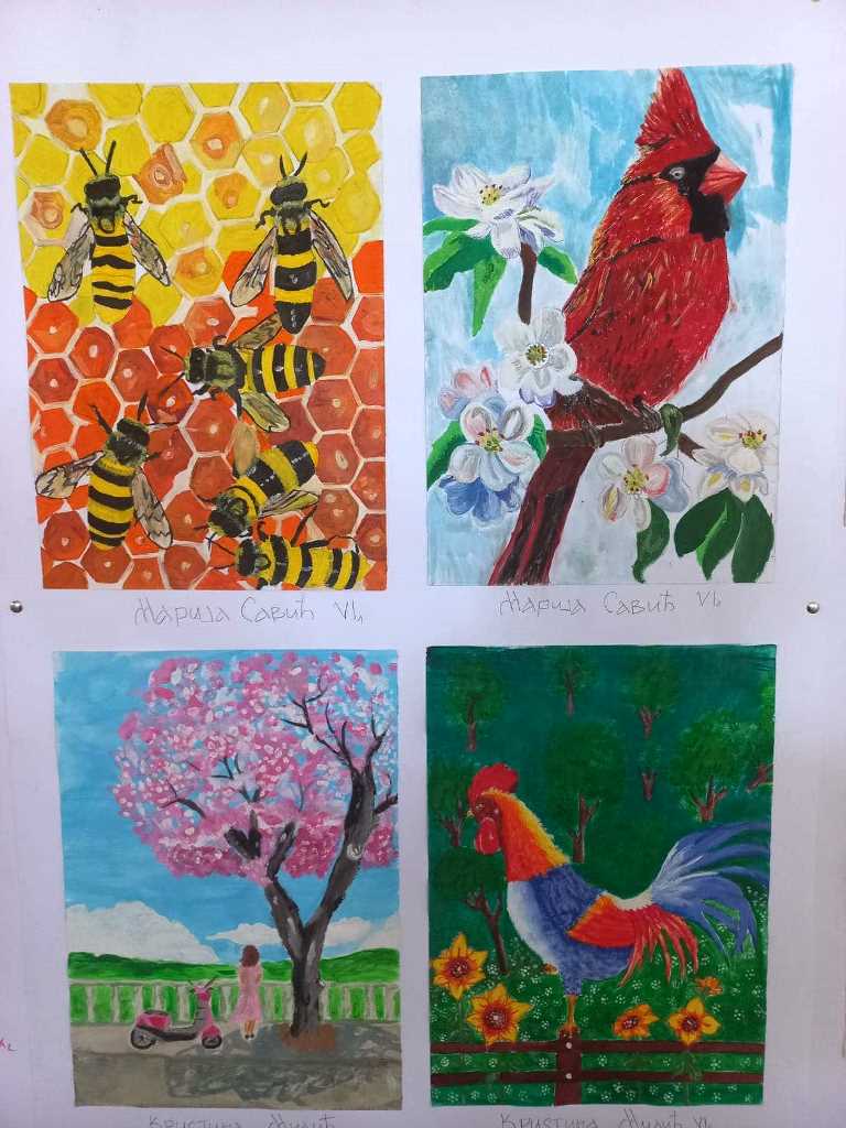 OS Desanka Maksimovic 3