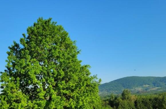 OSMACI