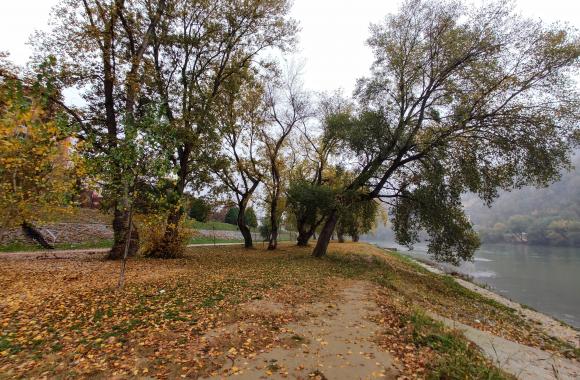 Drina jesen