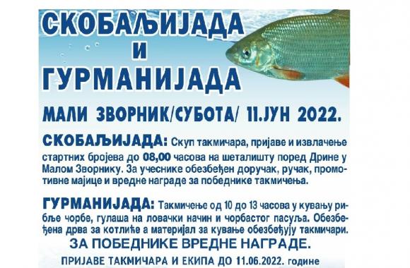 mali zvornik 2