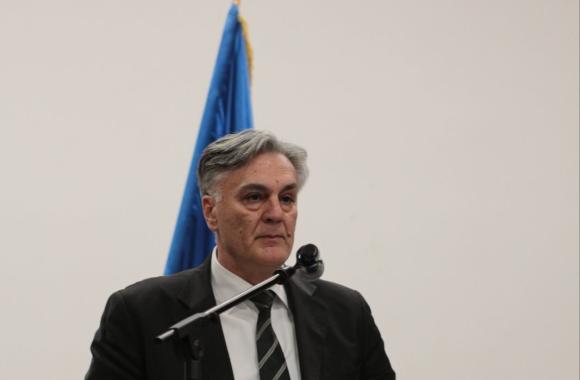 sinisa karan