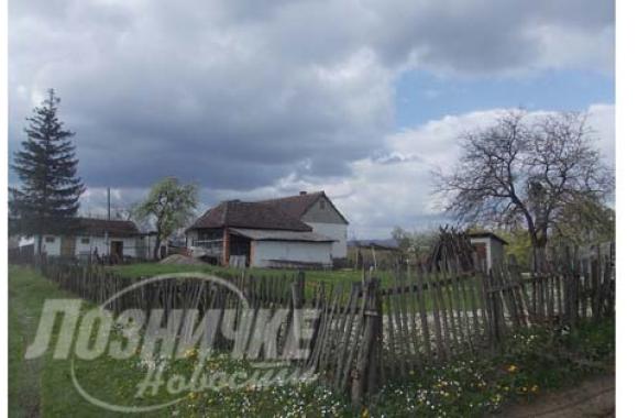 Loznicke novosti
