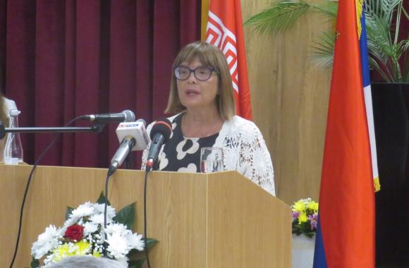 mali zvornik