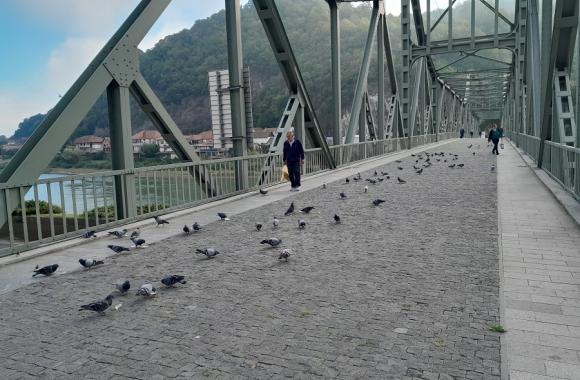 Most golubovi 1