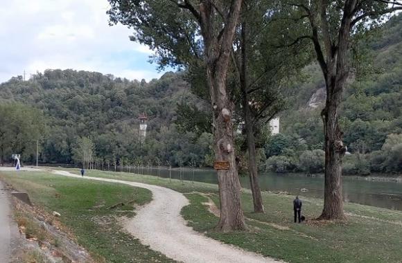 drina