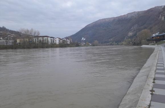 drina