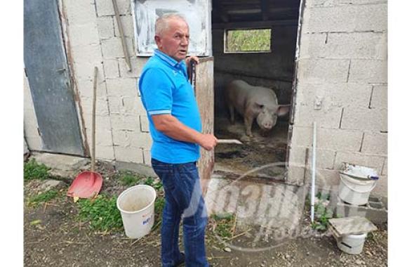 loznicke novosti