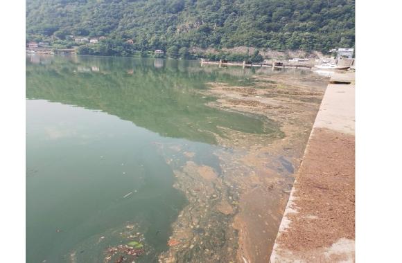 jezero ponton