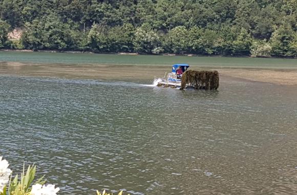 jezero trava