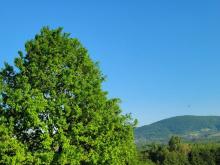 OSMACI
