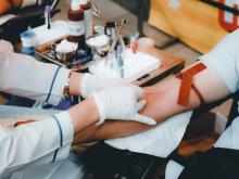 Transfuzija krvi b.s