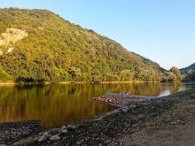 Drina