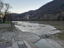 drina