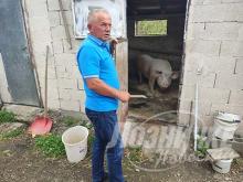 loznicke novosti