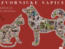 zornicke sapice