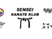 kk sensei