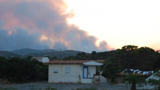 RODOS