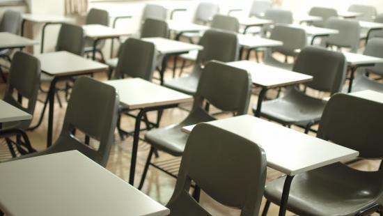 Skola b.s