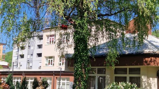 Zvornik kucica za ptice