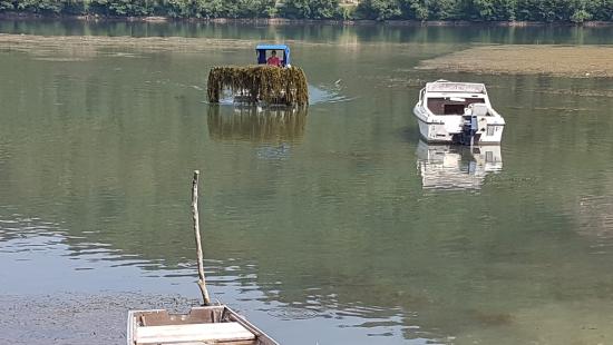 jezero trava