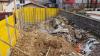 CRKVA RADOVI 5