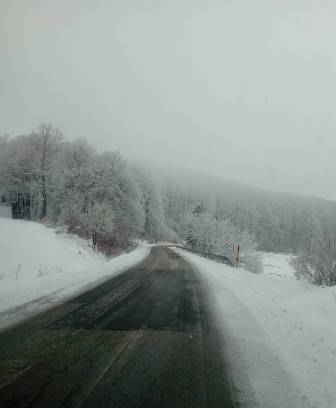 Han pogled jutros